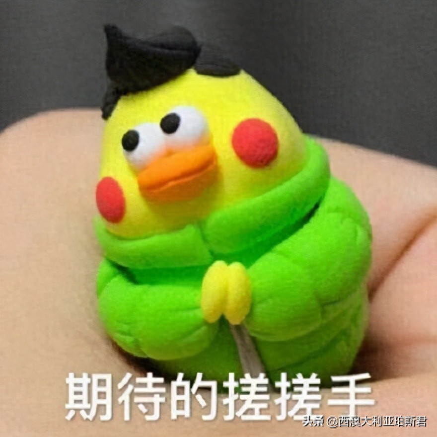 g939DPDZkLJXD4pN.jpg