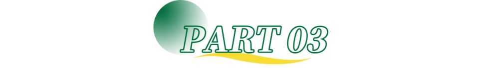 hOPoRaolir0YEEjd.jpg