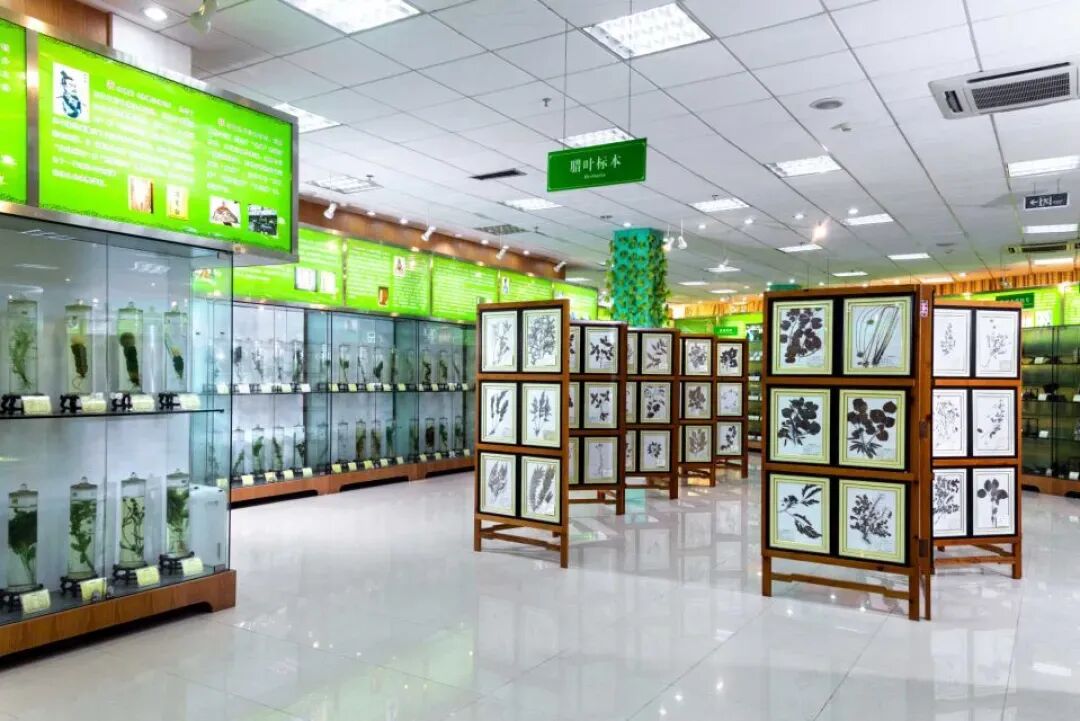 sbUhUXRfrRu8DYBL.jpg