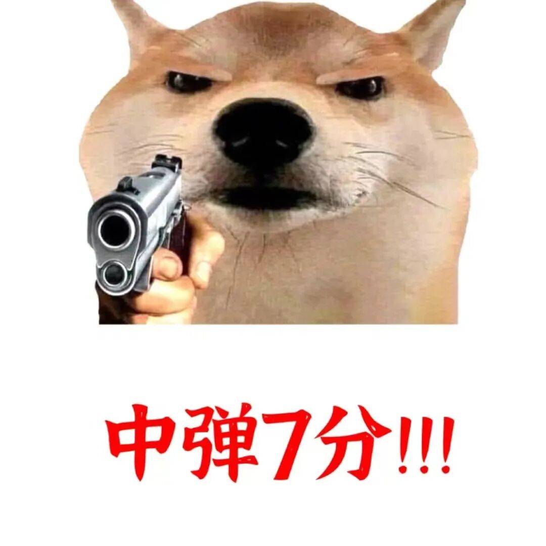 csZe4HE77ewSHJE4.jpg